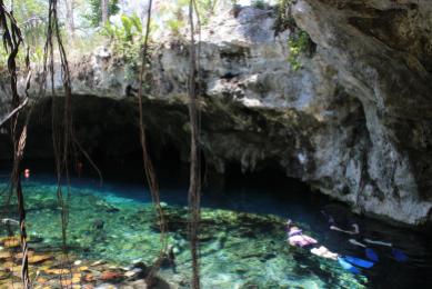 May 2015: Grand Cenote, Tulum, Mexico