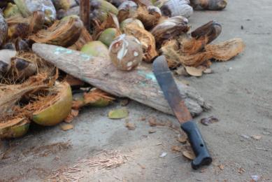 16. - 18.06.2015: Great way to peel and serve a coconut, San Blas Islands (Caribbean Sea), Panama