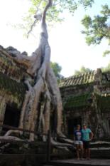 27.09.-30.09.2015 Unbelievable Trees at Ta Prohm, Siem Reap, Cambodia